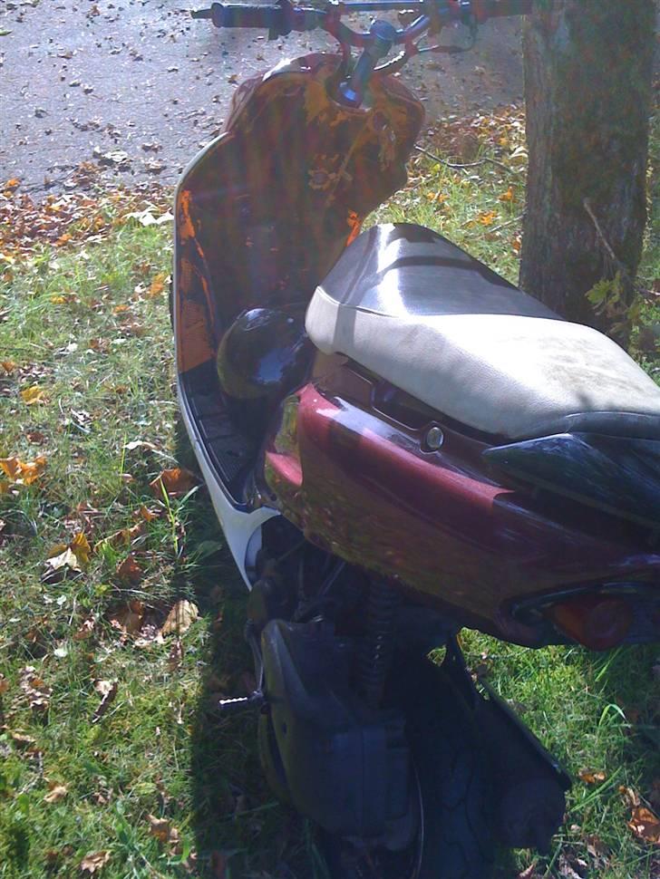 Honda SFX(SLOGT) billede 3