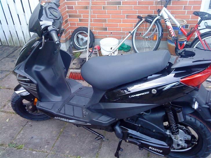 Giantco Lambros DD billede 4