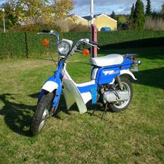 Suzuki Original Fz 50 (std)