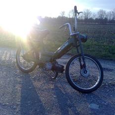 Puch maxi k/p `"wera`" solgt