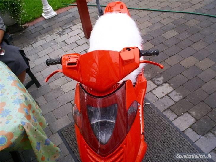 Aprilia sonic polini evo ac .2002 billede 10