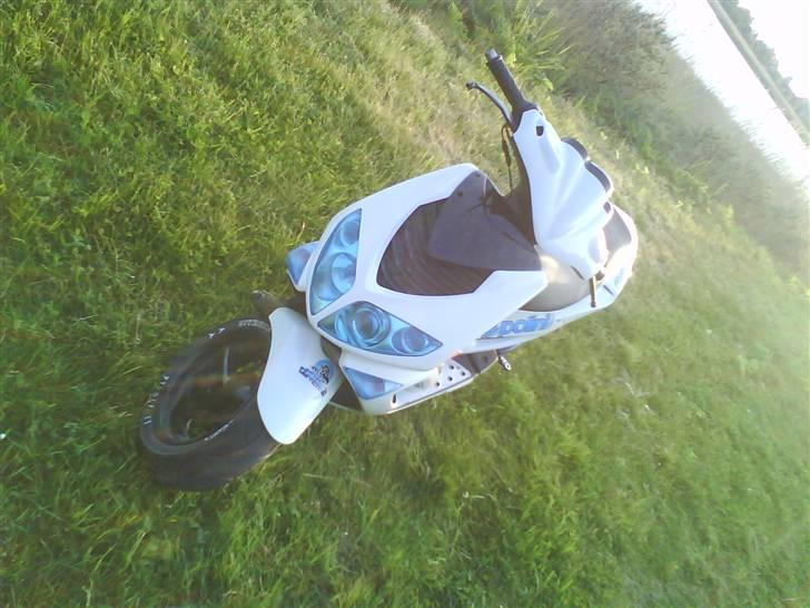 Peugeot speedfight 2 billede 2