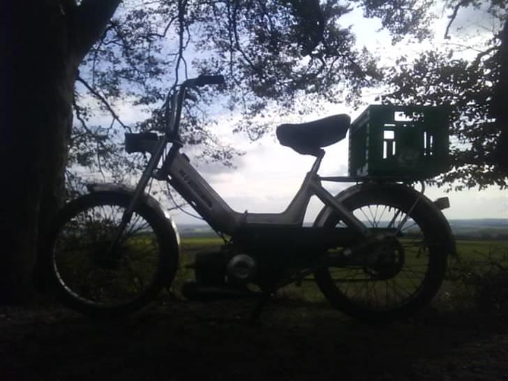 Puch Maxi K 'Liget' *solgt* billede 14