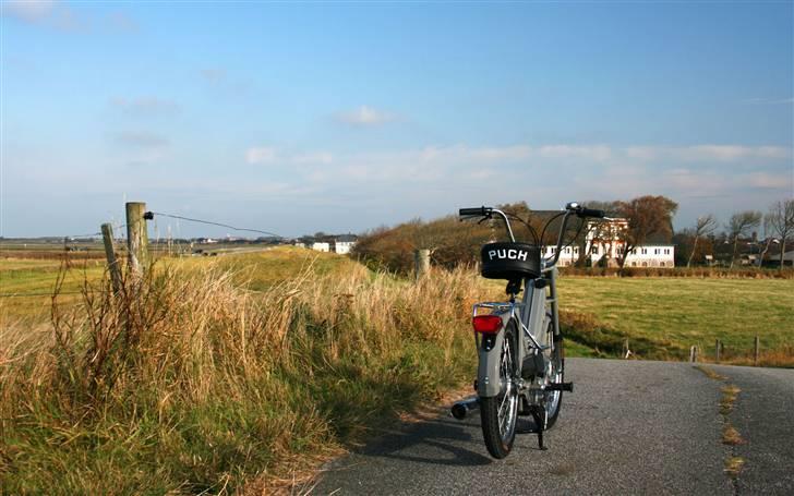 Puch Maxi K billede 3