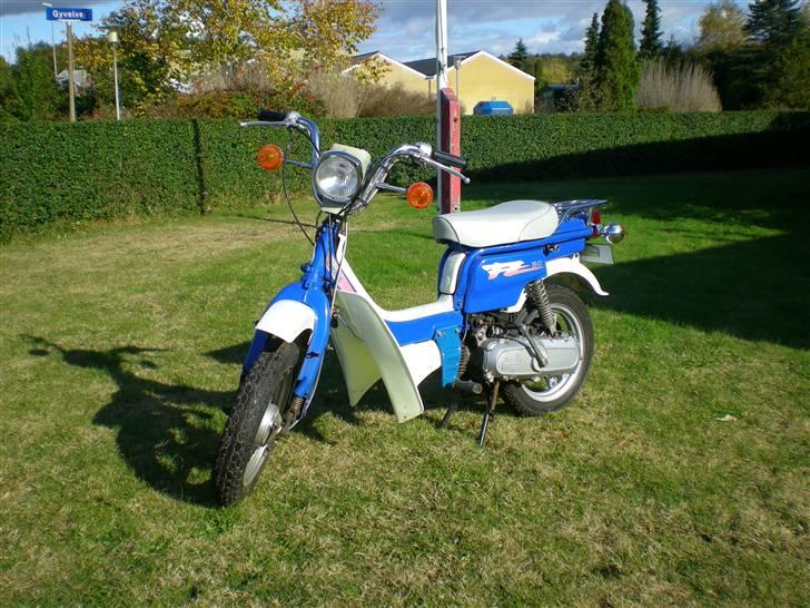 Suzuki Original Fz 50 (std) billede 2