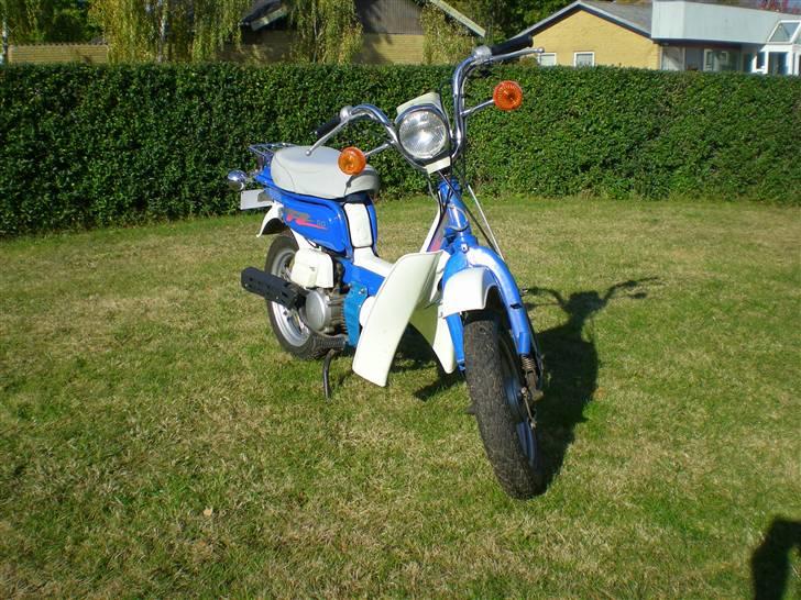 Suzuki Original Fz 50 (std) billede 6