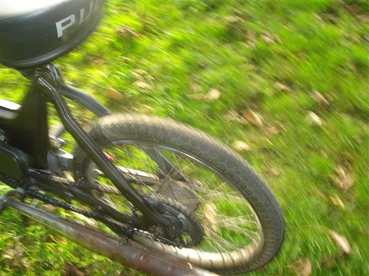Puch Maxi billede 6