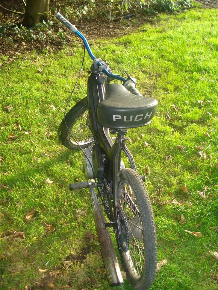 Puch Maxi billede 7