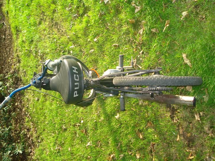 Puch Maxi billede 8