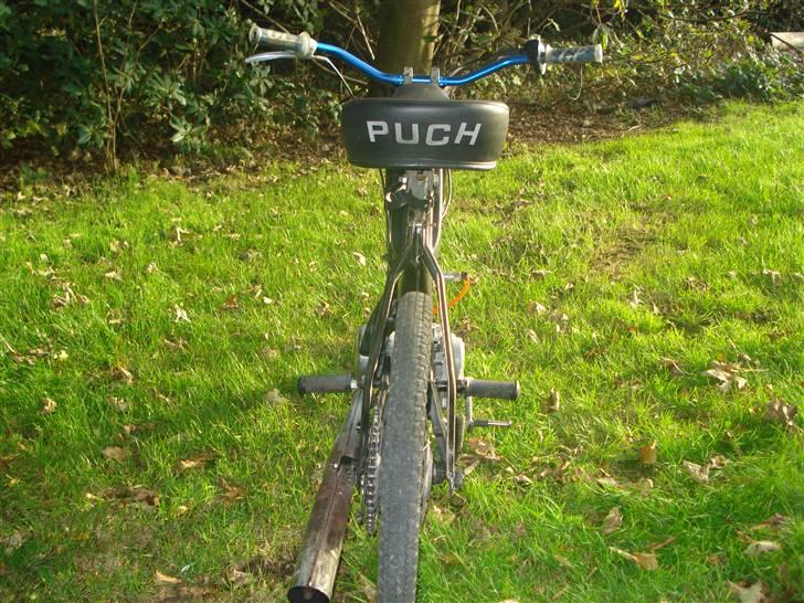 Puch Maxi billede 15