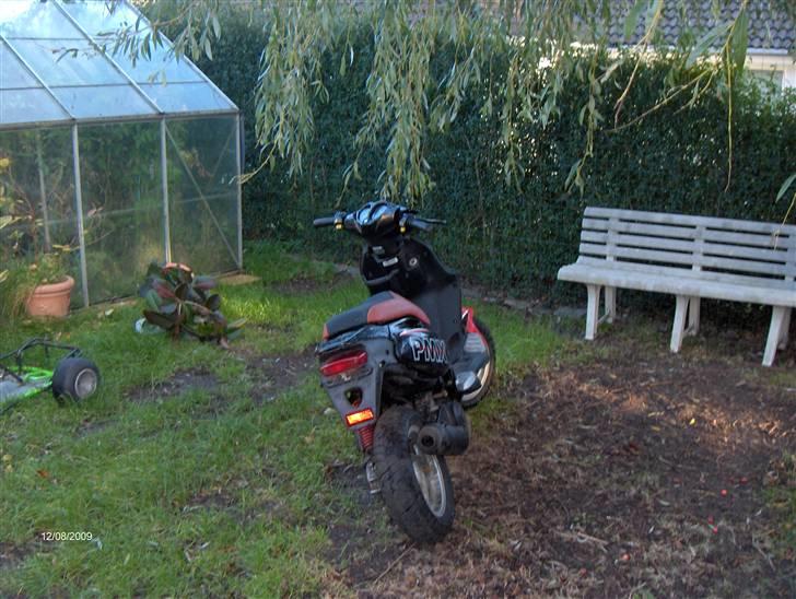 PGO pmx Solgt billede 4