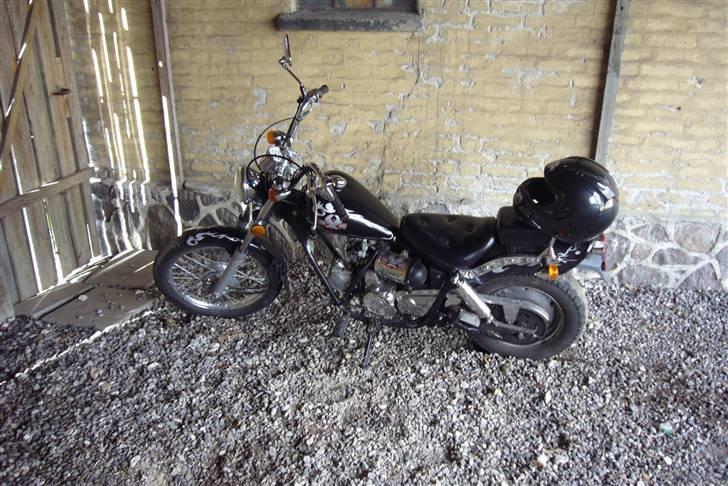 Regal Raptor billede 1