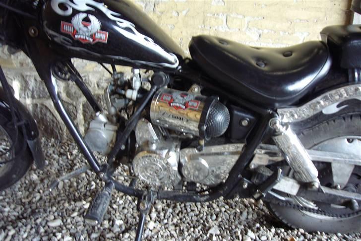 Regal Raptor billede 2