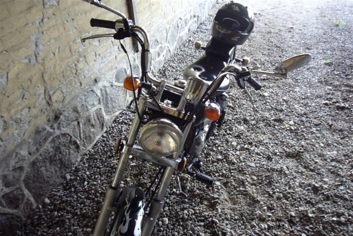 Regal Raptor billede 5