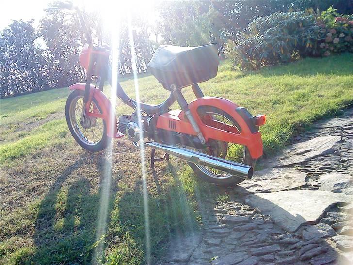 Puch mini maxi $ billede 8