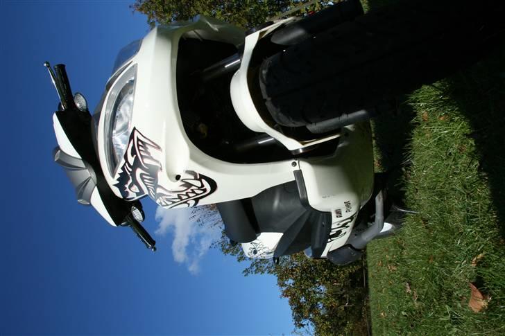 Giantco Spartan Til salg billede 1