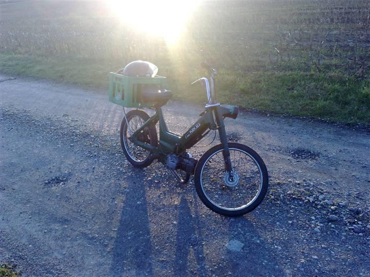 Puch maxi k/p `"wera`" solgt billede 1