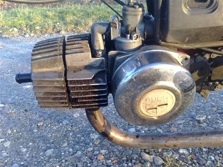 Puch maxi k/p `"wera`" solgt billede 4