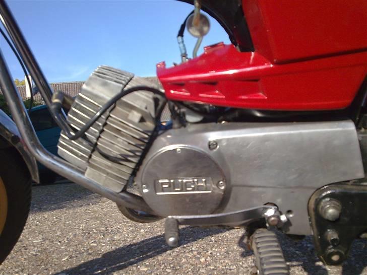 Puch Monza Flagskib/juvel billede 4