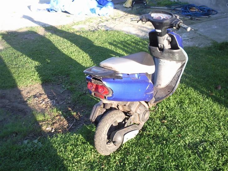 Honda sfx (solgt) billede 3