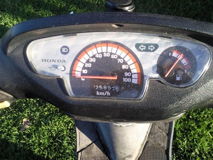 Honda sfx (solgt) billede 4