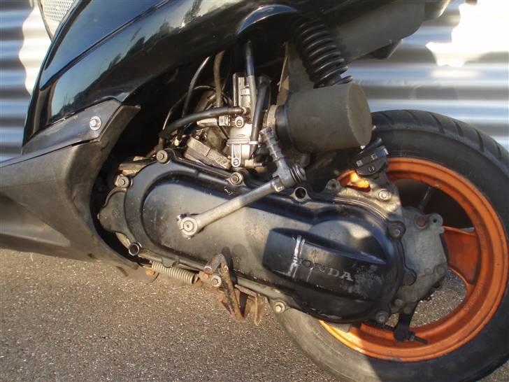 Honda Sfx Før  billede 6