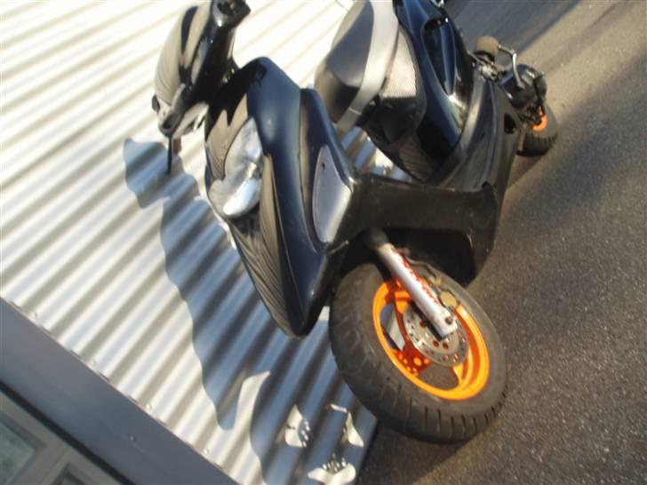 Honda Sfx Før  billede 7