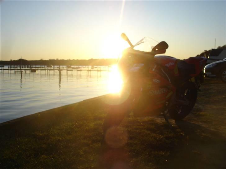 Aprilia RS 50 (Solgt) billede 4