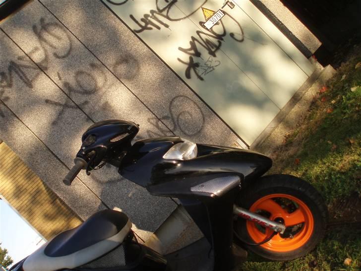 Honda Sfx Før  billede 9