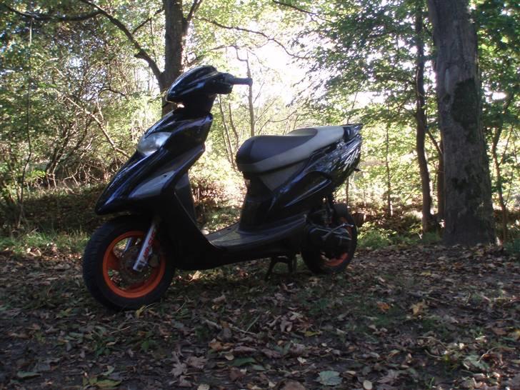 Honda Sfx Før  billede 10