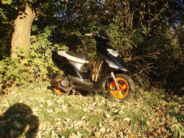 Honda Sfx Før  billede 11