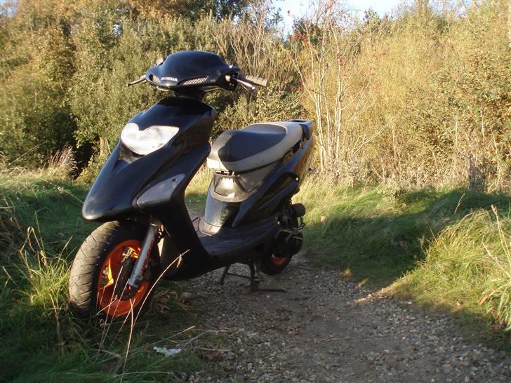 Honda Sfx Før  billede 12