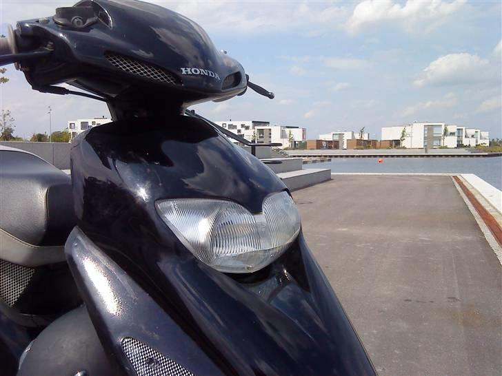 Honda Sfx Før  billede 20