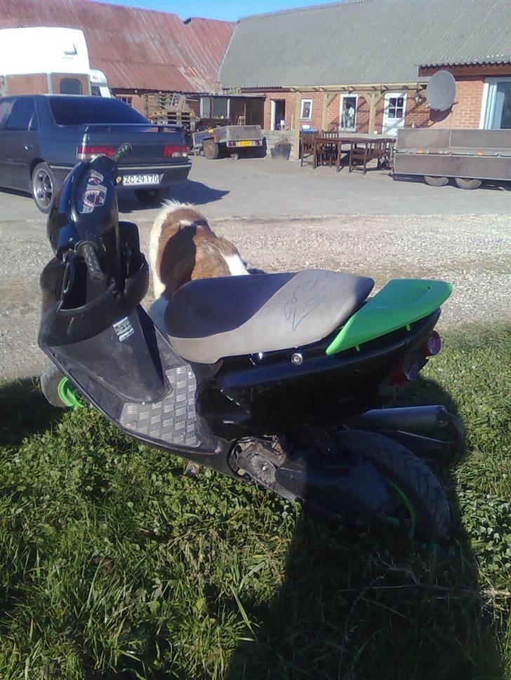 Honda sfx SOLGT billede 3