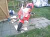 MiniBike 110 cc