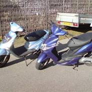 PGO HOT 50  ( SOLGT )