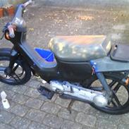 Honda wallaroo