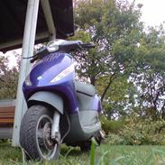 Piaggio New zIiIiPpPPpPpp