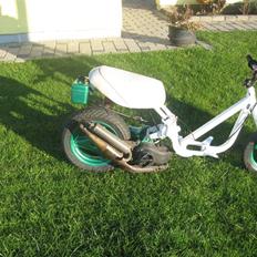 Yamaha passola/neos baneracer 