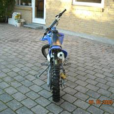 MiniBike gaspower
