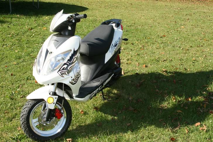 Giantco Spartan Til salg billede 4