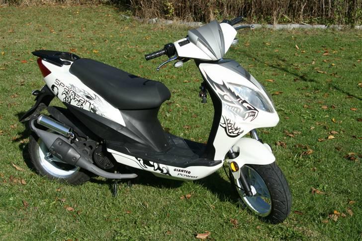 Giantco Spartan Til salg billede 5