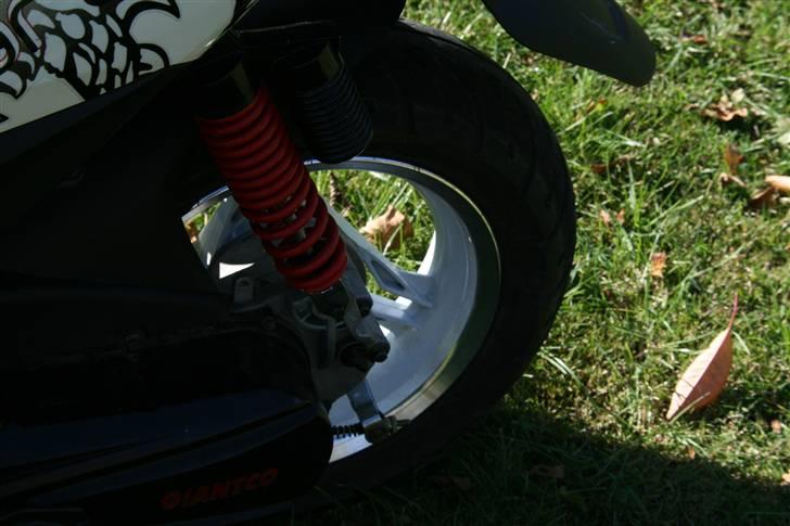 Giantco Spartan Til salg billede 6