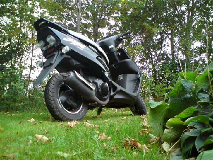Honda SFX<3 billede 4