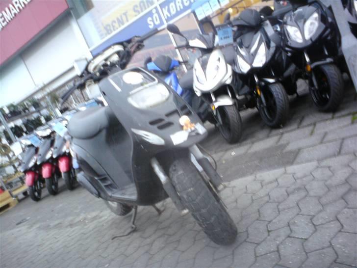 Piaggio typhoon byttet til raptor billede 1