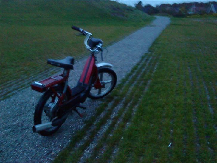 Piaggio Ciao "SOLGT" billede 5