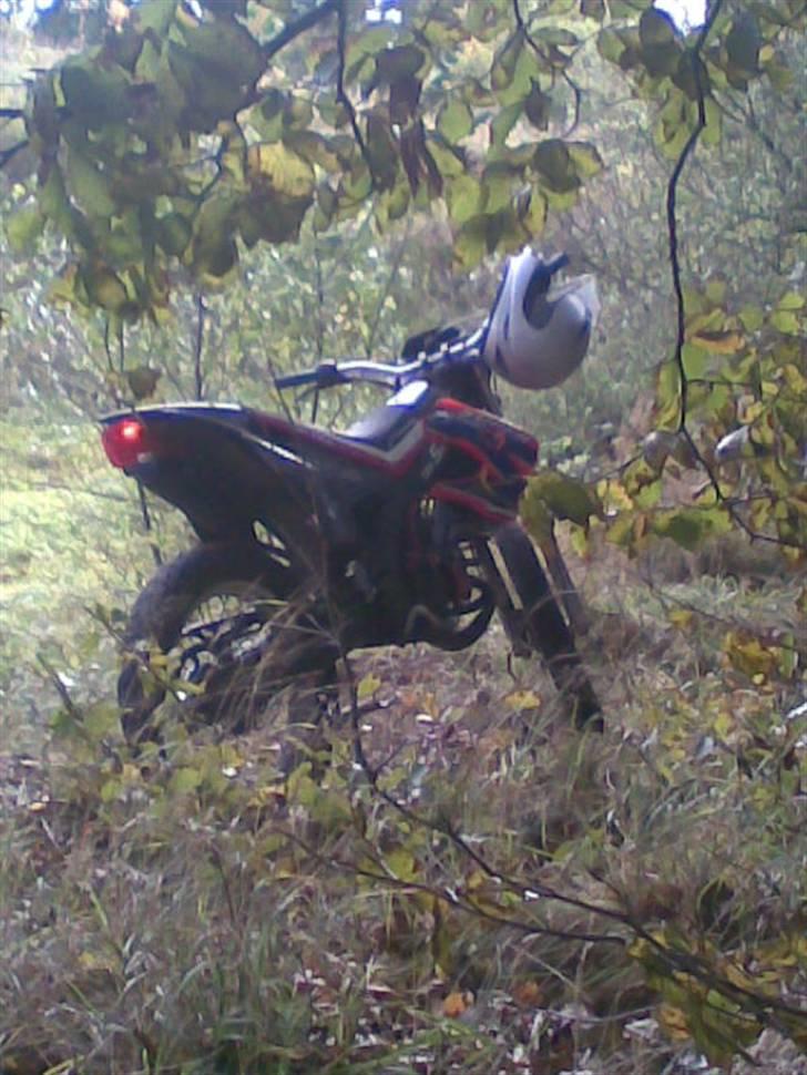 Gilera rcr{ putte}bytte til hot  billede 8