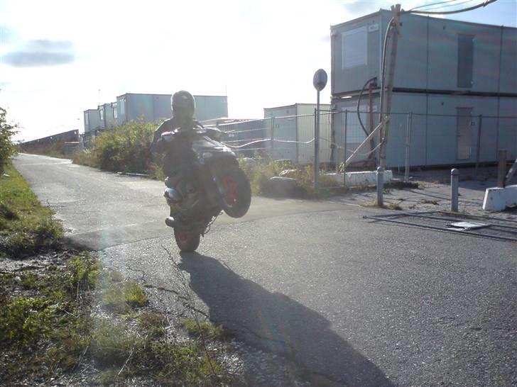 Gilera stalker (TILSALG) billede 16