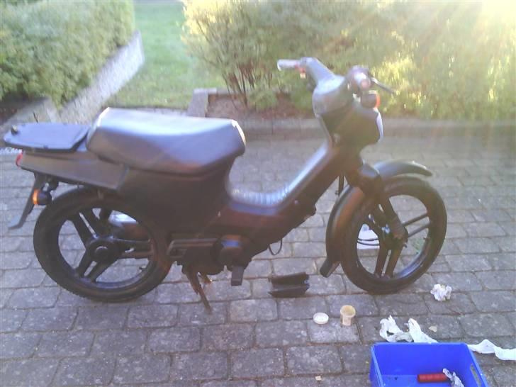 Honda wallaroo billede 1