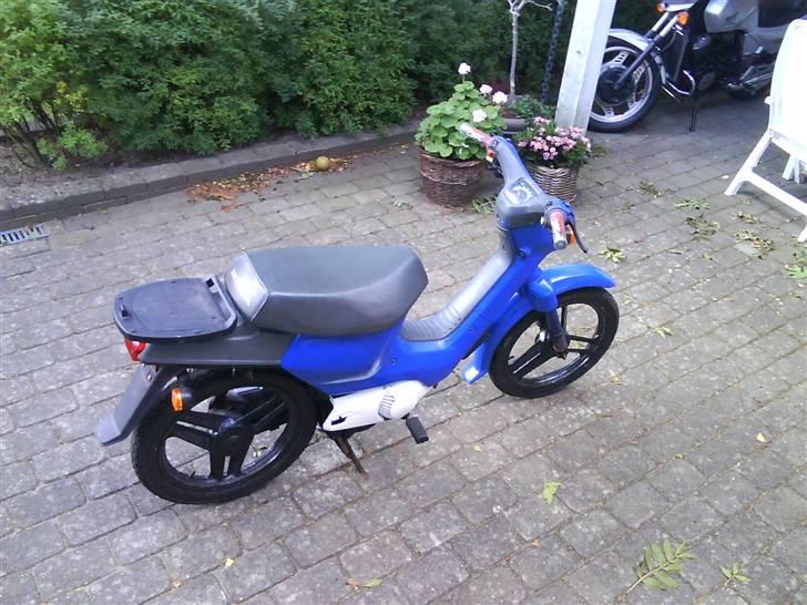 Honda wallaroo billede 4